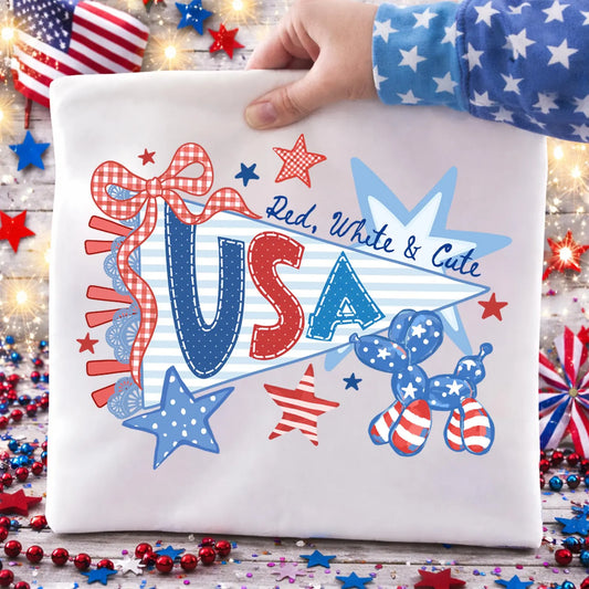USA Pennant Flag July 4th DTF Transfer