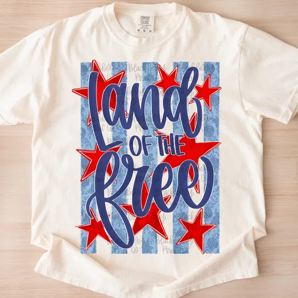 Land of the Free tee
